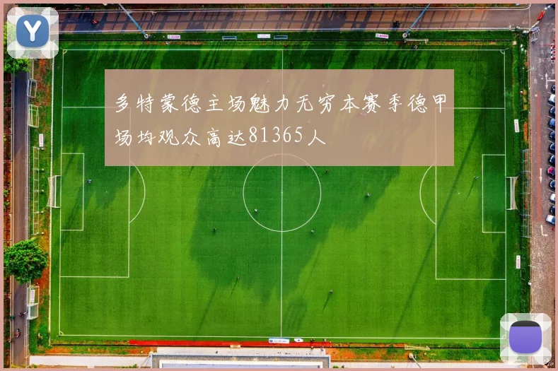 多特蒙德主场魅力无穷本赛季德甲场均观众高达81365人